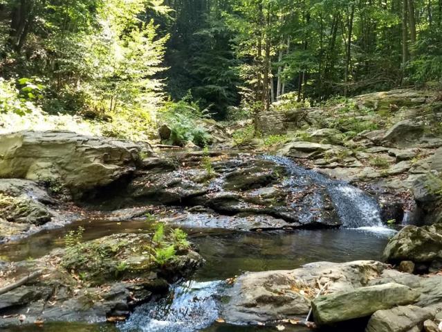 Saray Davul Zurna Kiralama